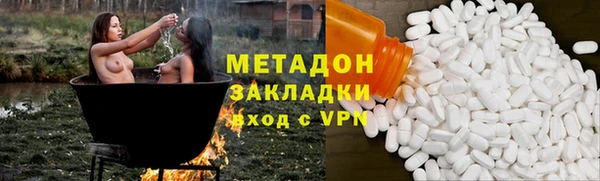 прущие грибы Абинск