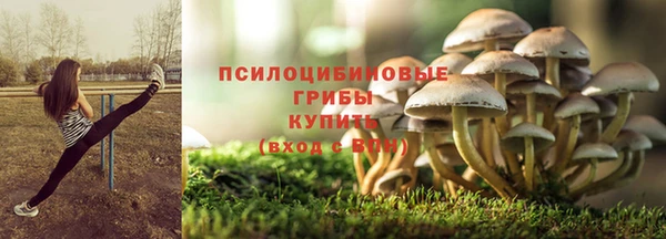 мдма Инта